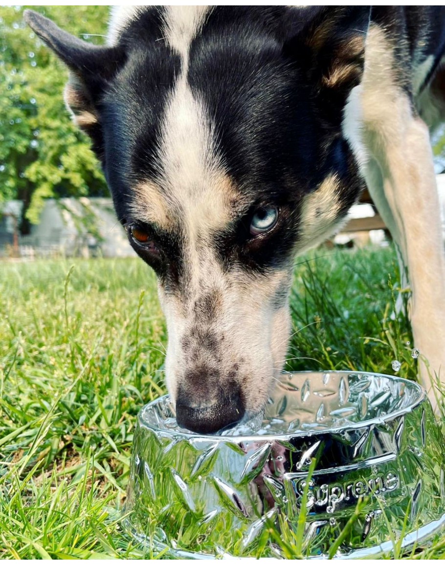 小物 Supreme Diamond Plate Dog Bowl Silver Supreme Diamond Plate Dog Bowl Releasing in store and online